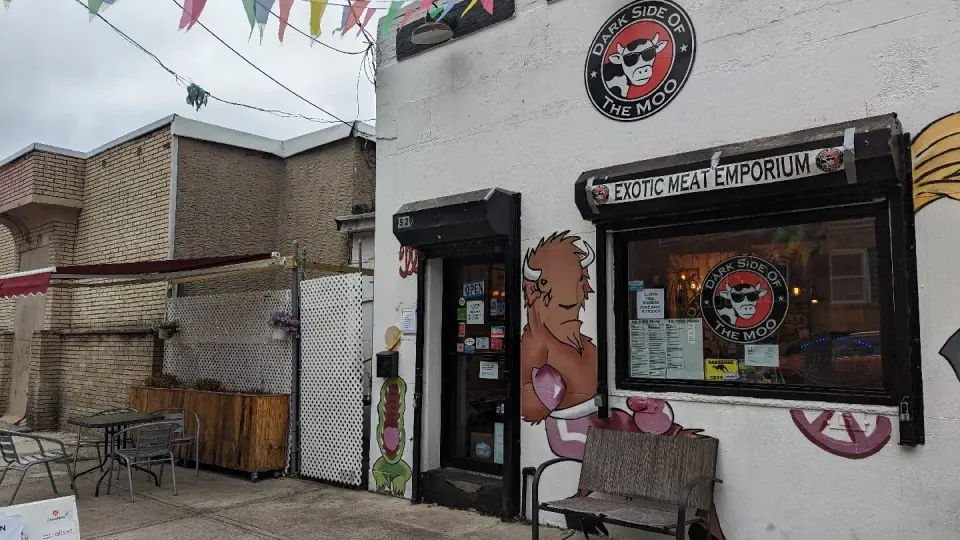 Dark Side of the Moo photo 1